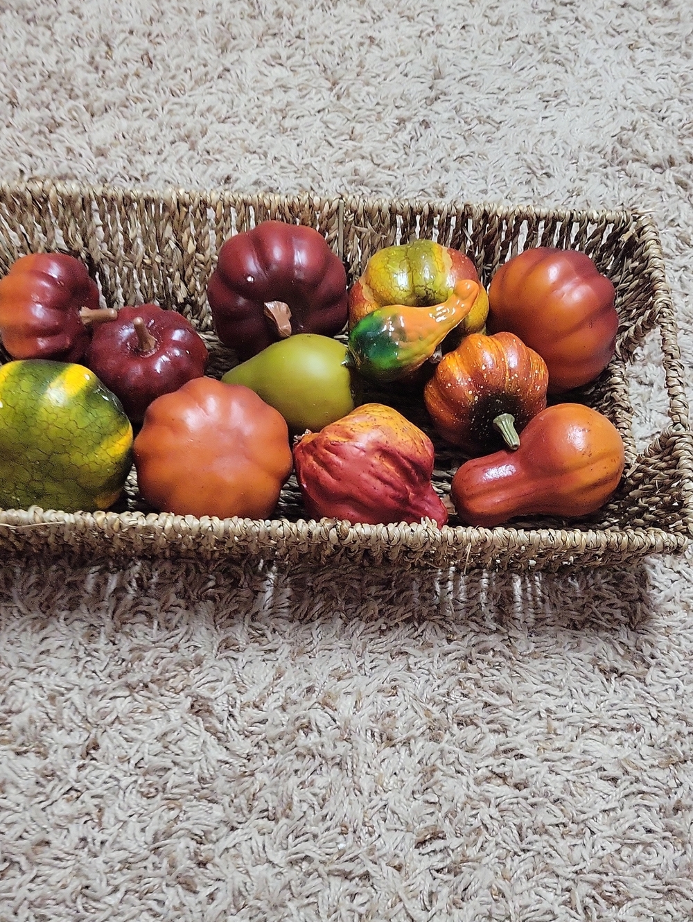 Decorative Fall Gourd Set - Assorted Orange, Green, and Red -
